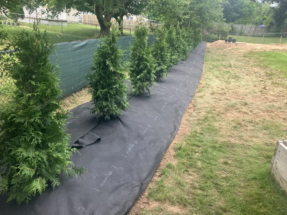 Affordable lawn mowing service in Walworth, NY by Woodgreen Landscape And Construction