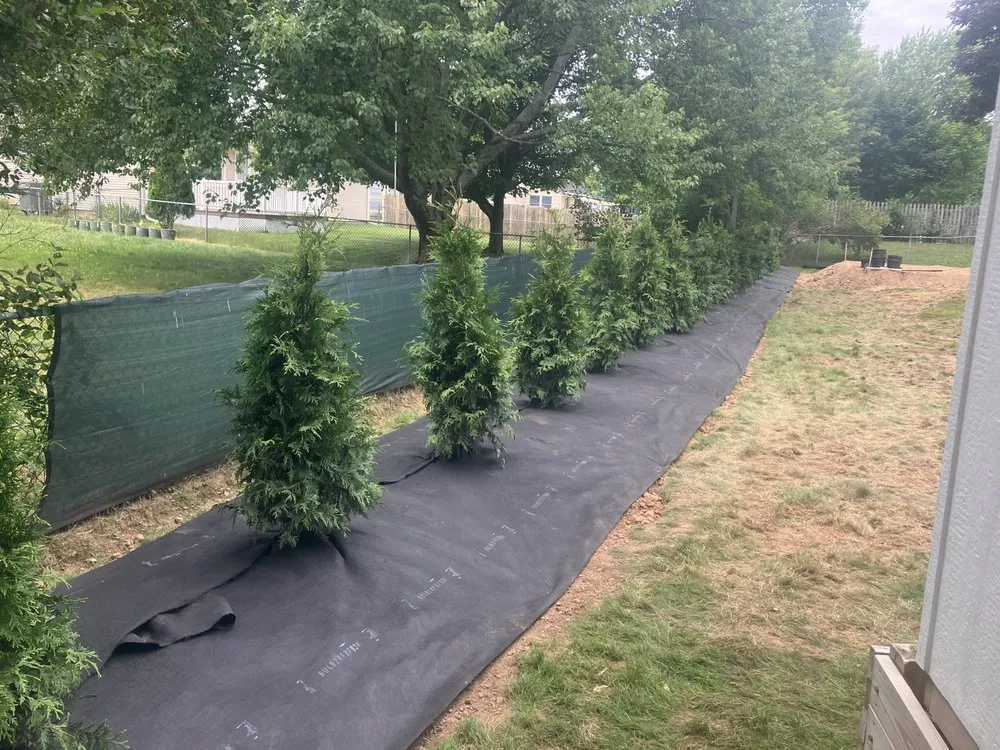 Professional yard cleanup service for year-round maintenance across Walworth, NY - Woodgreen Landscape And Construction