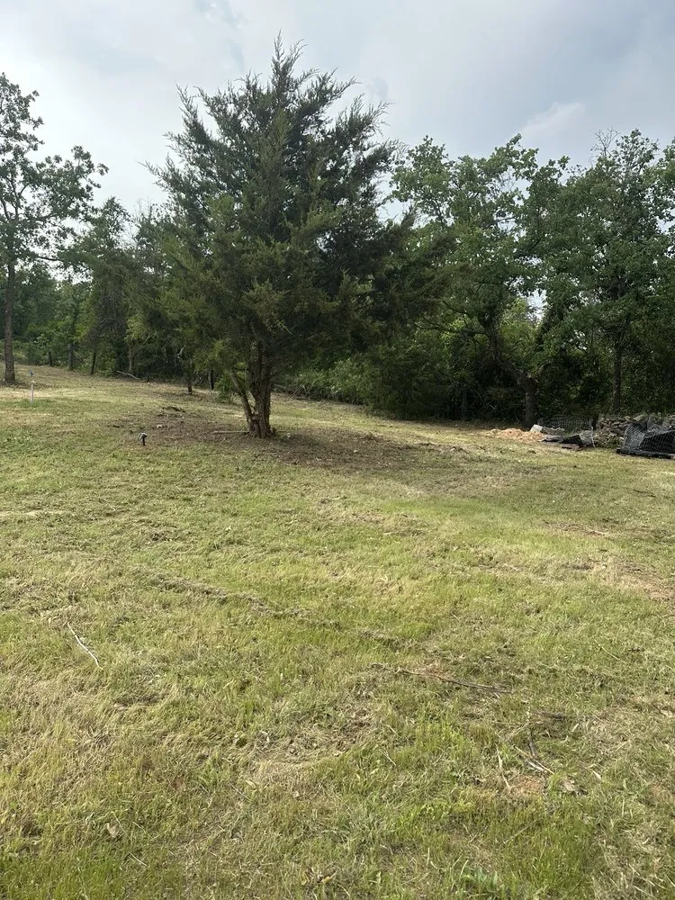 Custom yard cleanup service for outdoor upgrades across Springtown, TX - Woodhouse