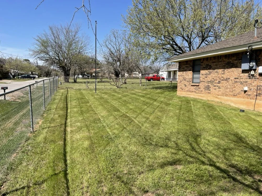 Trusted landscaping services for homes across Springtown, TX - Woodhouse