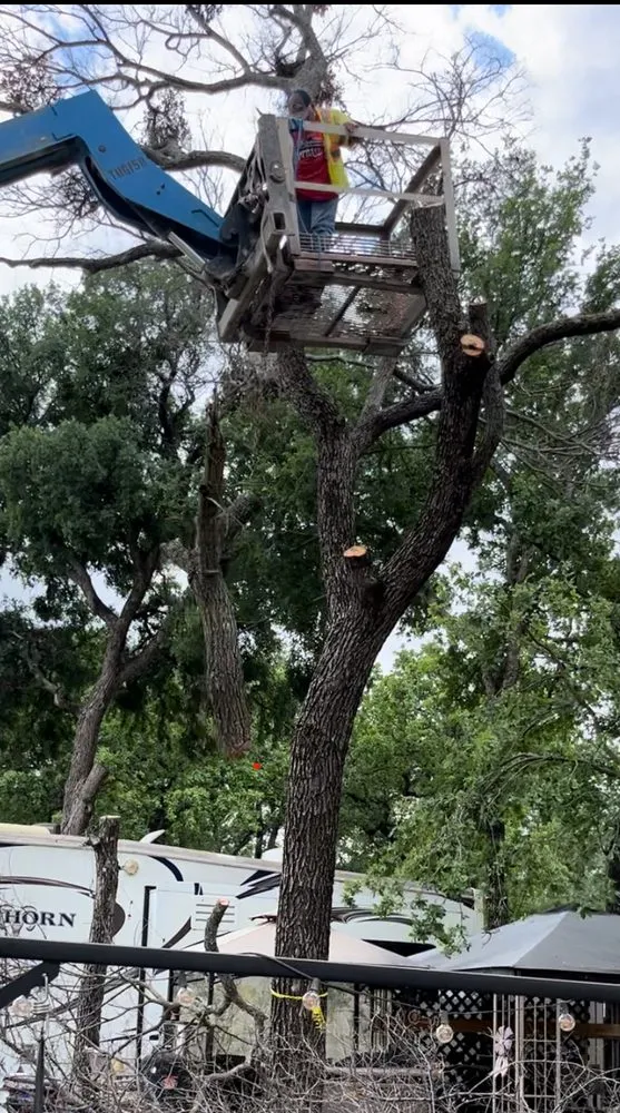 Expert yard maintenance in Springtown, TX by Woodhouse