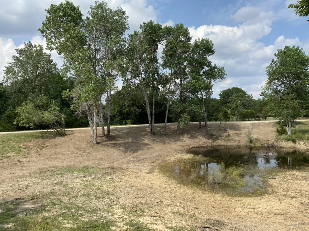 Local lawn mowing service experts serving Springtown, TX - Woodhouse