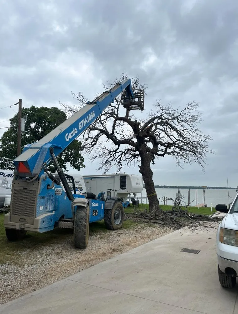 Trusted residential landscaping near you across Springtown, TX - Woodhouse