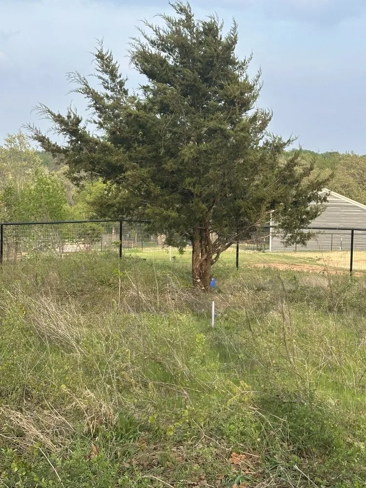 Top-rated landscape installation in Springtown, TX by Woodhouse