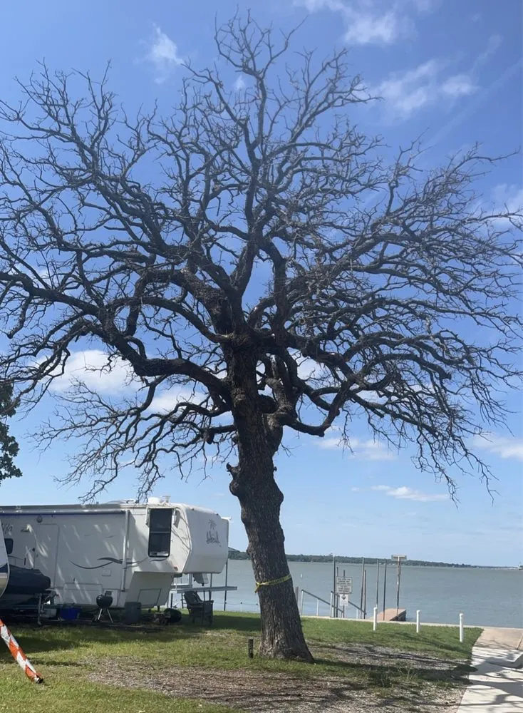 Professional residential landscaping in Springtown, TX - Woodhouse