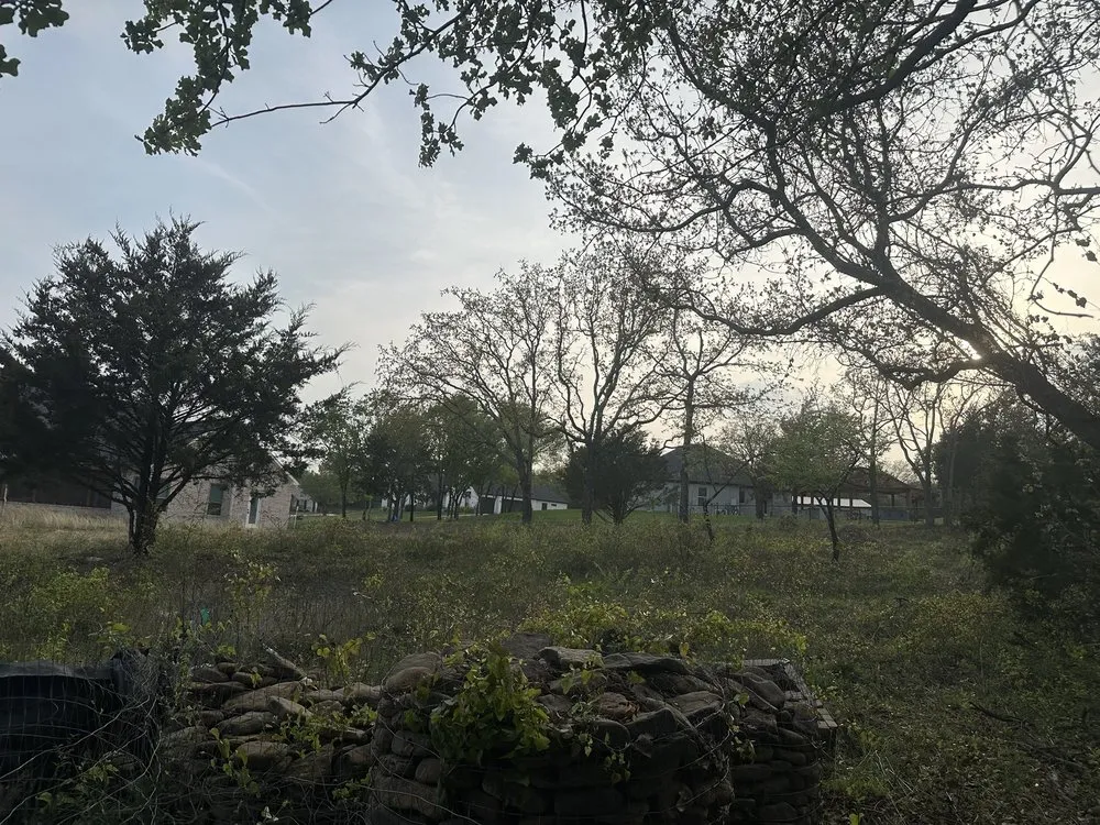 Reliable landscape installation in Springtown, TX by Woodhouse