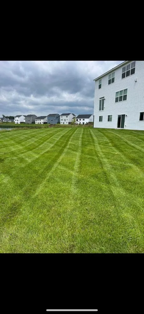 Affordable yard cleanup service near you in Andover, MN by Woodies Outdoor Services