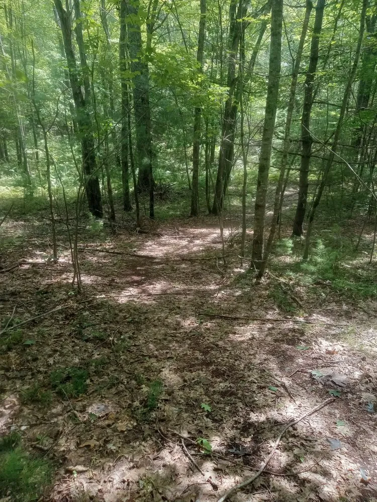 Trusted landscape design for year-round maintenance in West Newfield, ME by Woodja Woodja Trails And Landscaping
