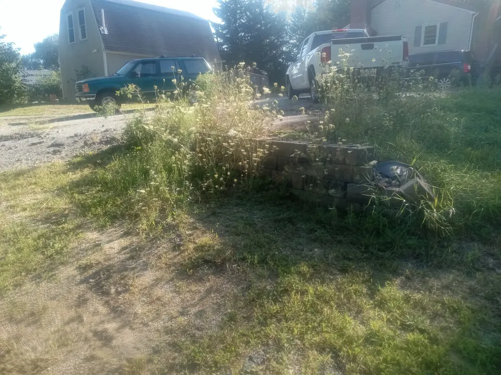Trusted lawn mowing service with custom design across West Newfield, ME - Woodja Woodja Trails And Landscaping