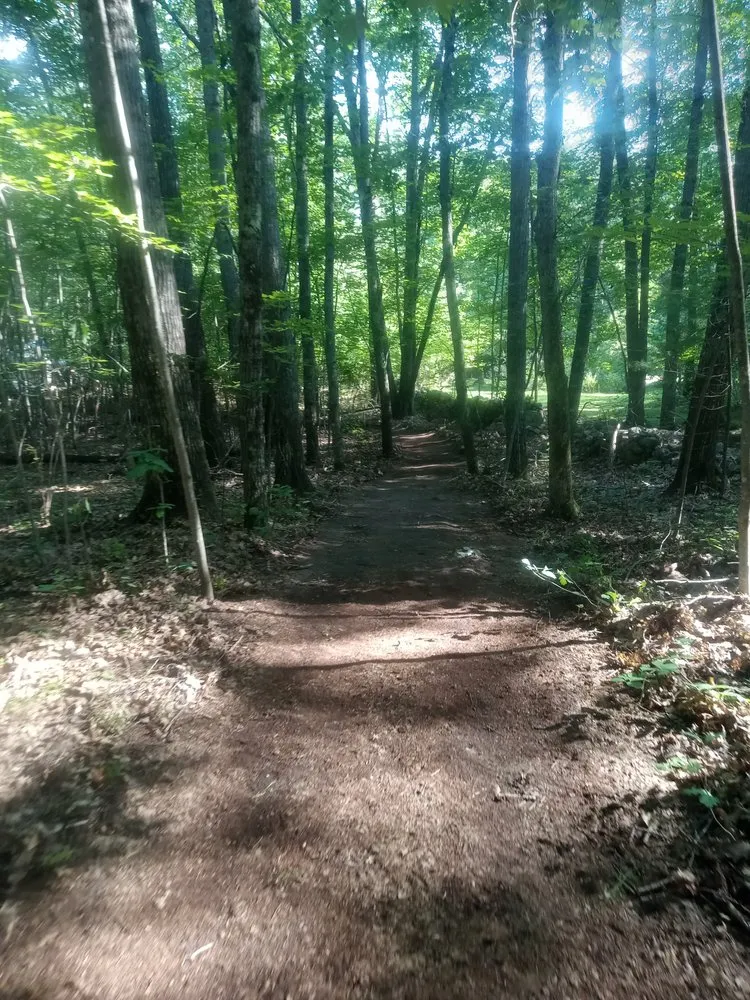 Local lawn care service for year-round maintenance in West Newfield, ME by Woodja Woodja Trails And Landscaping