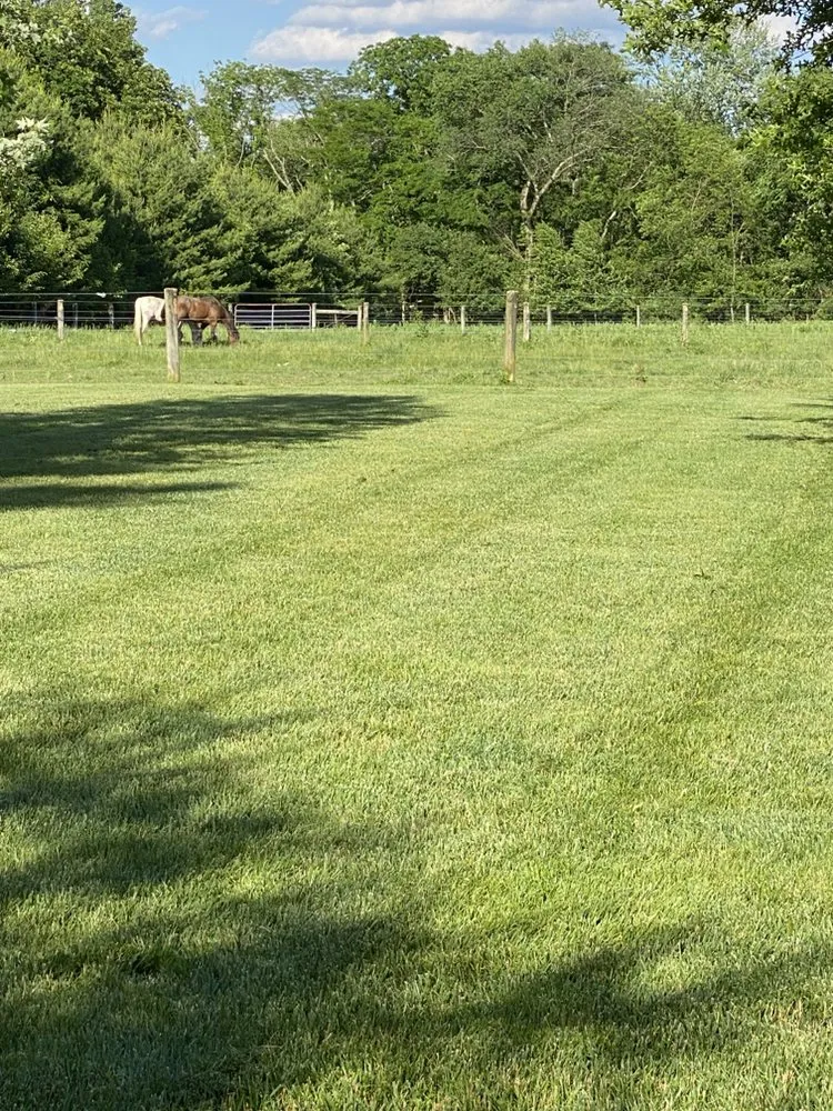 Trusted lawn mowing service near you across Galena, OH - Woodland Acres Lawn Care