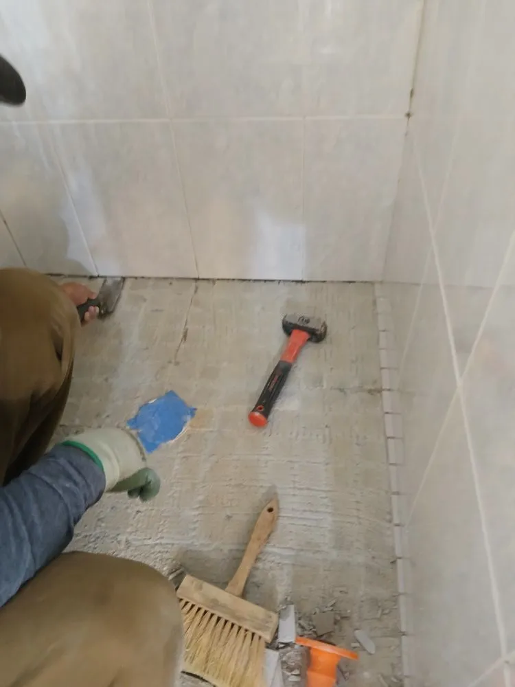 Professional yard maintenance experts serving Port Chester, NY - Woodland Integrated Management Home Improvements