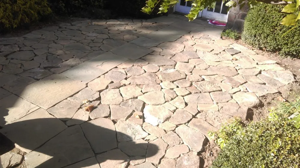 Reliable yard cleanup service in Port Chester, NY by Woodland Integrated Management Home Improvements