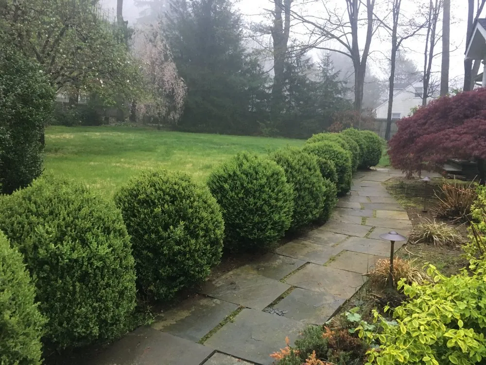 Affordable garden landscaping with custom design in Port Chester, NY by Woodland Integrated Management Home Improvements