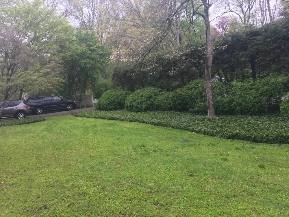 Top-rated garden landscaping in Port Chester, NY - Woodland Integrated Management Home Improvements