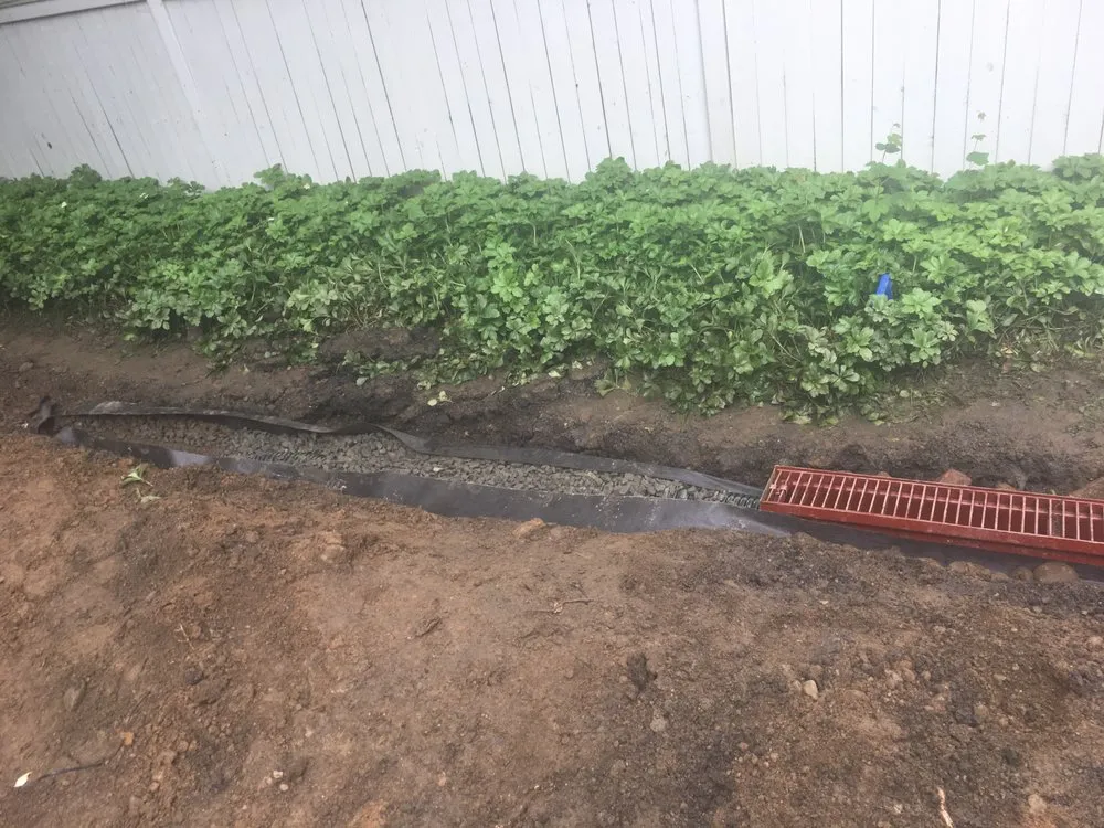 Top-rated lawn care service for residential properties in Port Chester, NY by Woodland Integrated Management Home Improvements