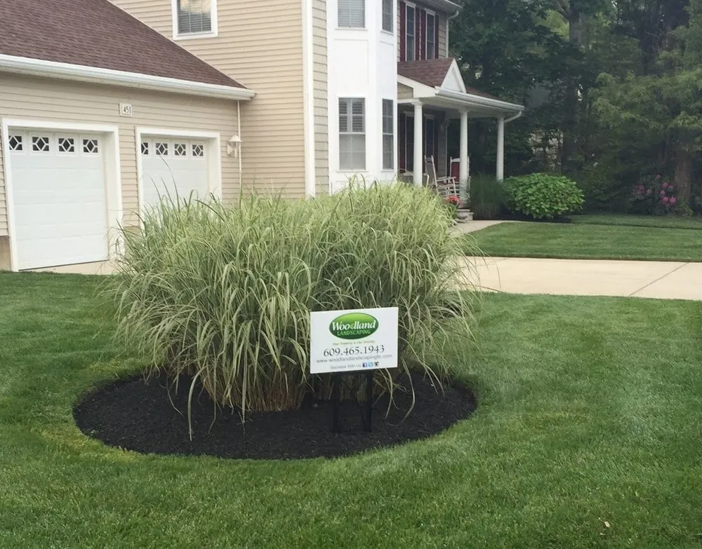 Top-rated landscaping services in Cape May Court House, NJ by Woodland Landscaping