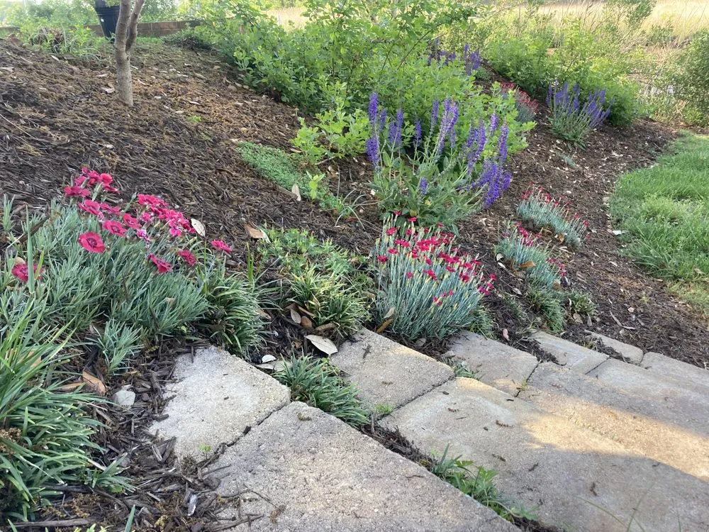 Trusted outdoor landscaping near you across Portsmouth, VA - Woodland Lawn Care