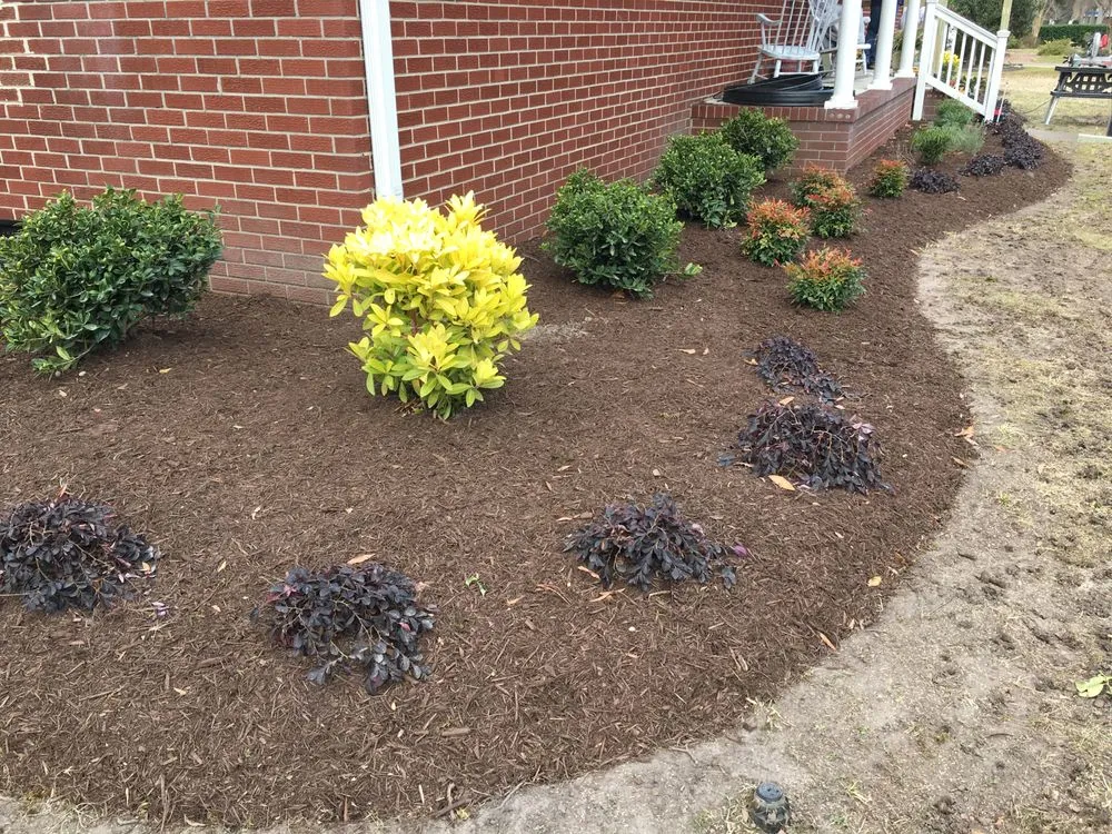 Professional yard maintenance in Portsmouth, VA by Woodland Lawn Care