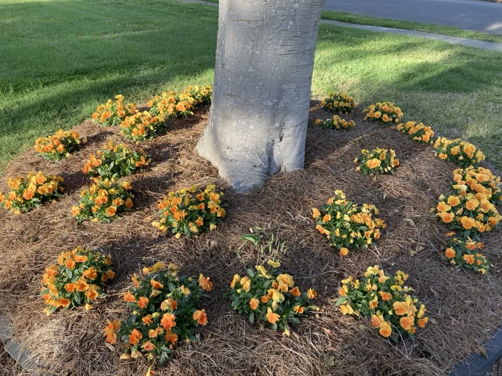 Reliable landscape installation in Portsmouth, VA - Woodland Lawn Care