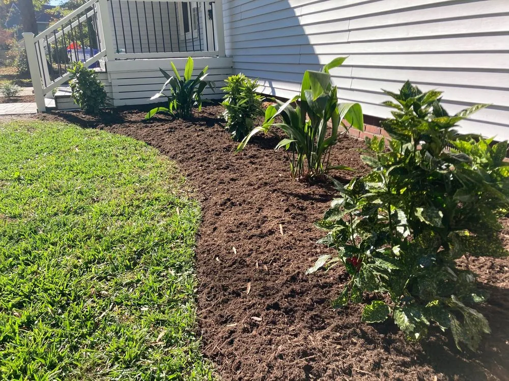 Reliable lawn care service in Portsmouth, VA - Woodland Lawn Care