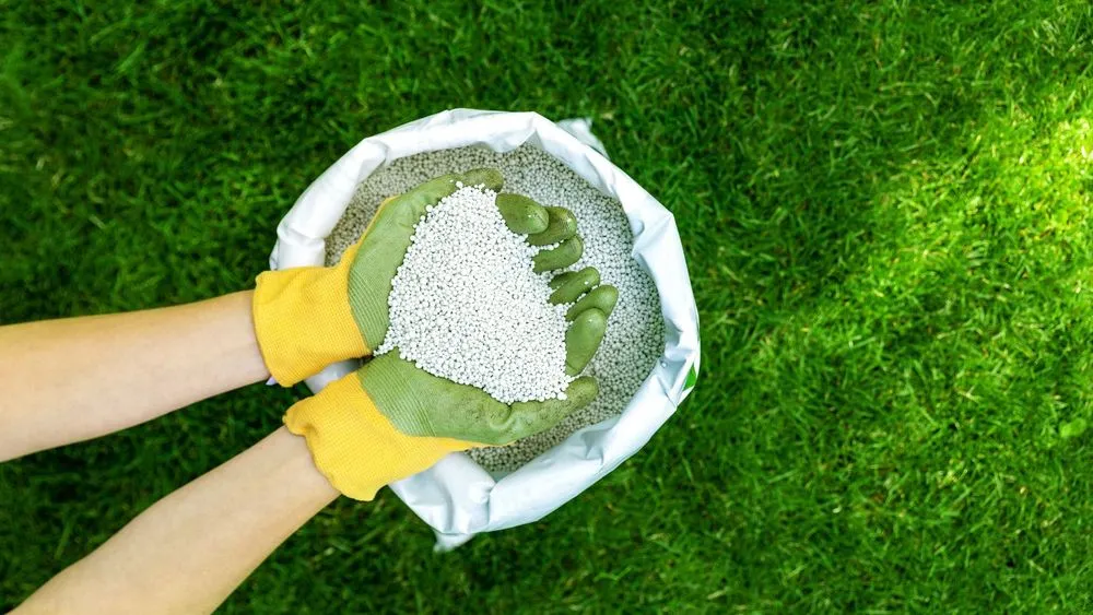 Trusted yard cleanup service experts serving Woodland, CA - Woodland Lawn Care