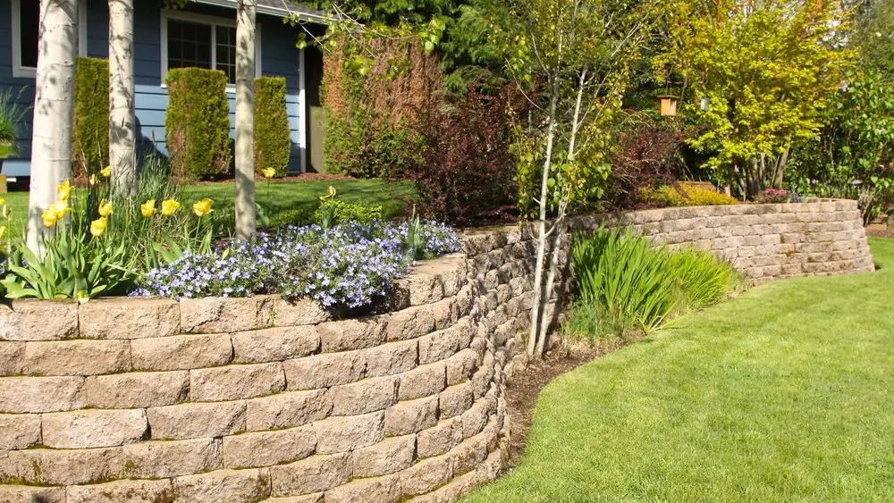 Expert landscape design in Woodland, CA - Woodland Lawn Care