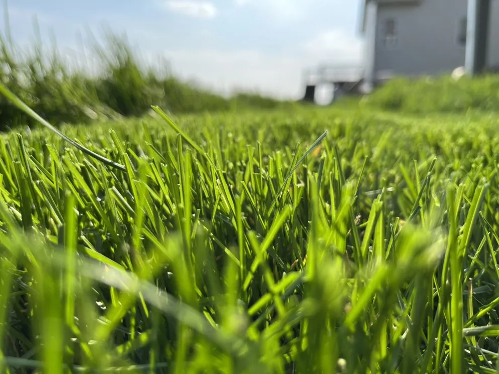 Custom landscaping services for beautiful yards across Waukee, IA - Woodland Skills