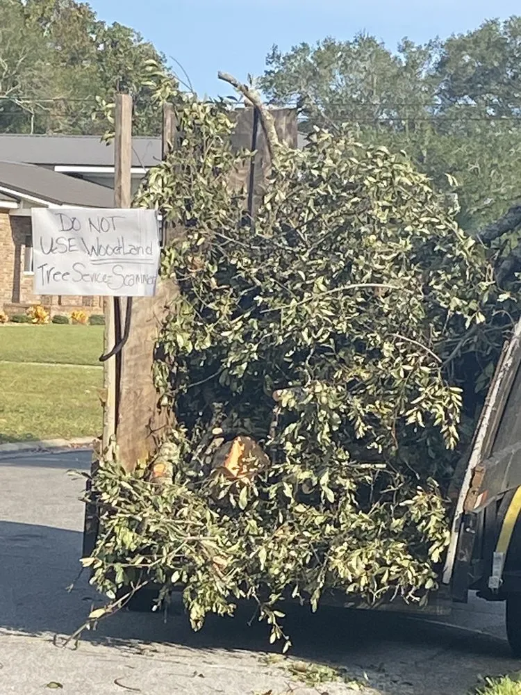 Expert landscape design in Fort Walton Beach, FL by Woodland Tree Service