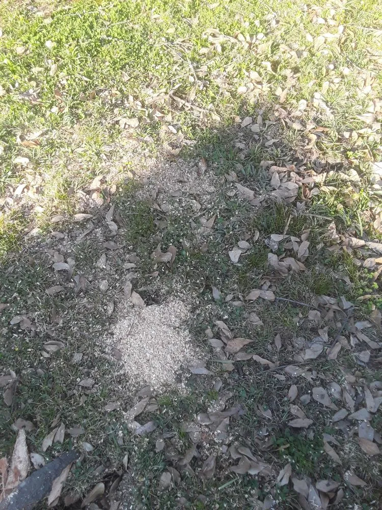 Local landscape installation for residential properties in Memphis, TN by Woodland Tree Service