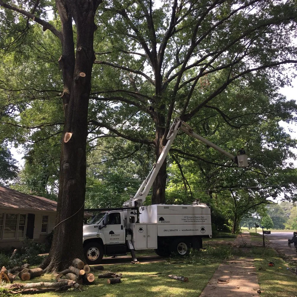 Affordable outdoor landscaping with custom design across Memphis, TN - Woodland Tree Service