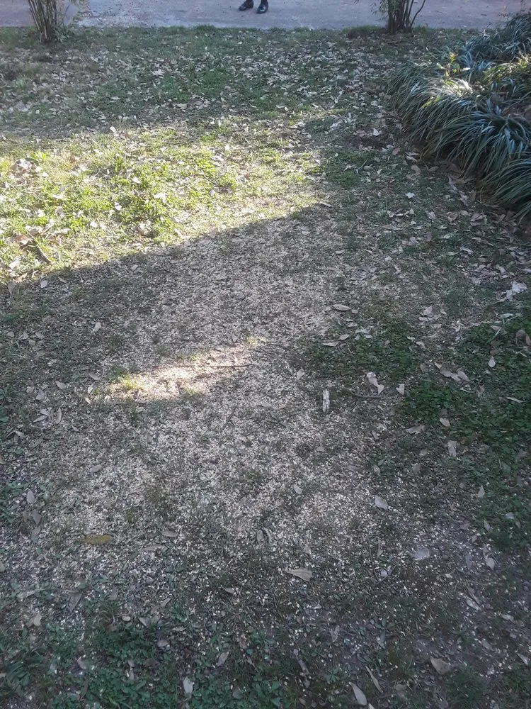 Expert lawn mowing service experts serving Memphis, TN - Woodland Tree Service