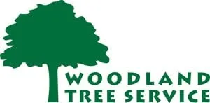Professional lawn mowing service for homes in Memphis, TN by Woodland Tree Service