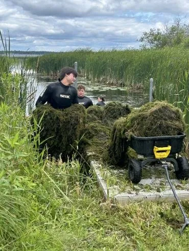 Affordable garden landscaping in Deerwood, MN - Woodland Weed Removal