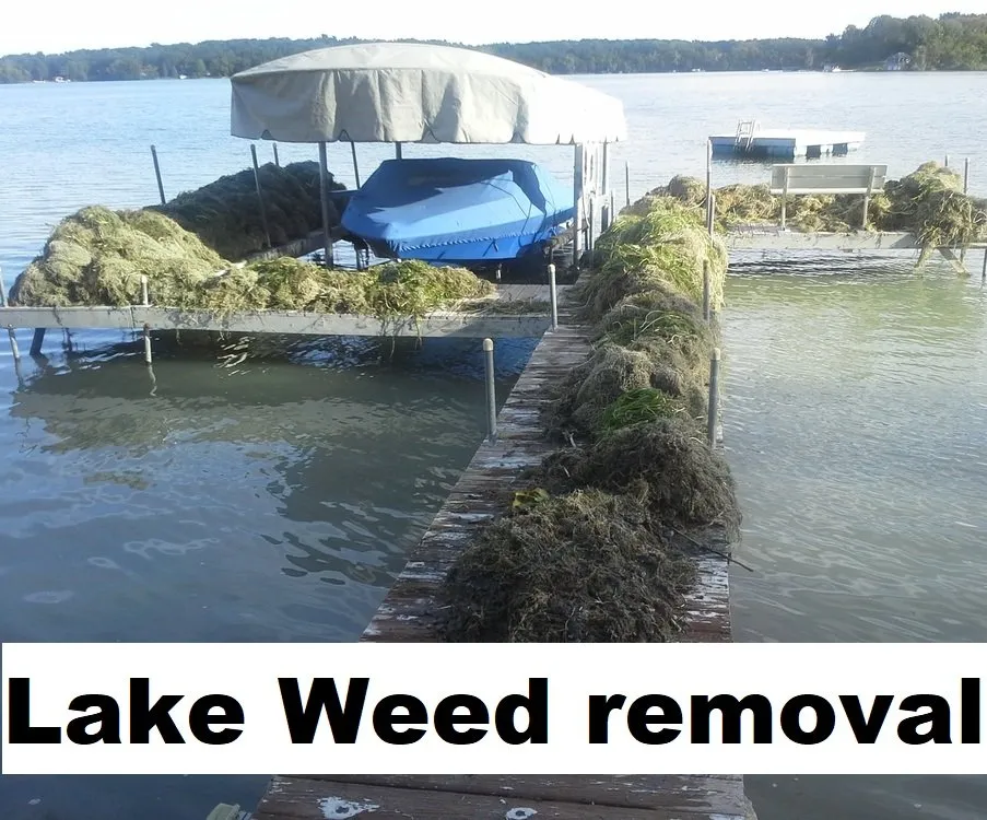 Trusted outdoor landscaping experts serving Deerwood, MN - Woodland Weed Removal