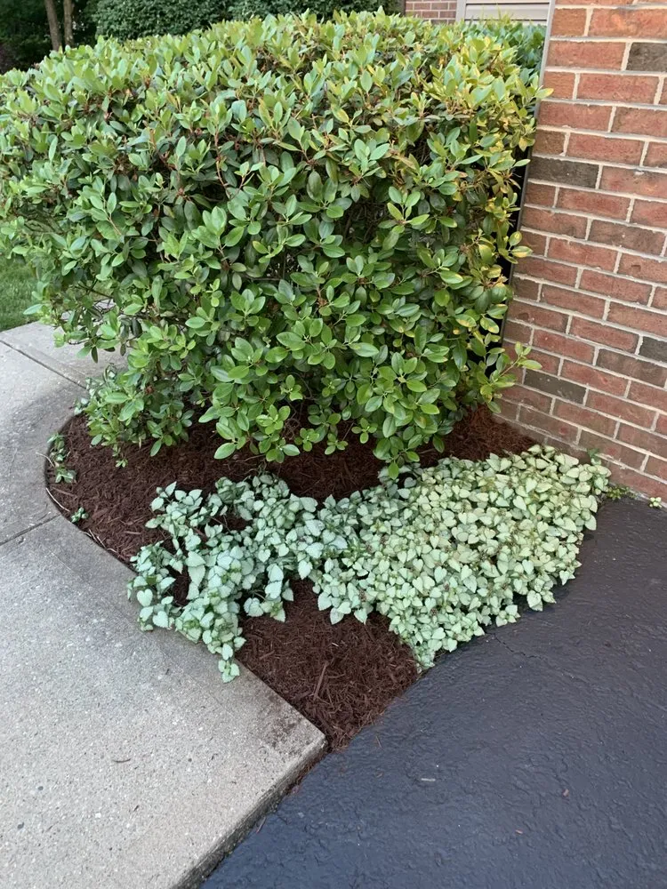 Reliable garden landscaping in Venetia, PA by Woodlands Grass Care