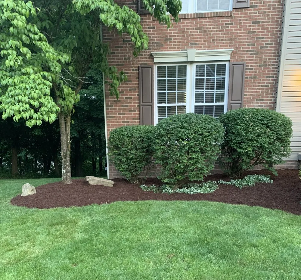 Custom lawn mowing service in Venetia, PA by Woodlands Grass Care
