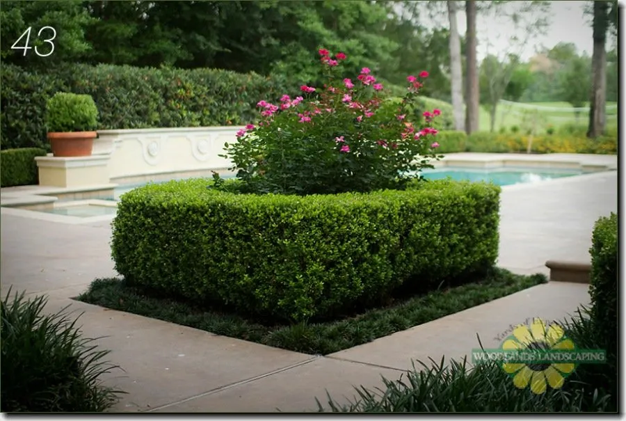 Trusted lawn mowing service for outdoor upgrades across Montgomery, TX - Woodlands Landscaping