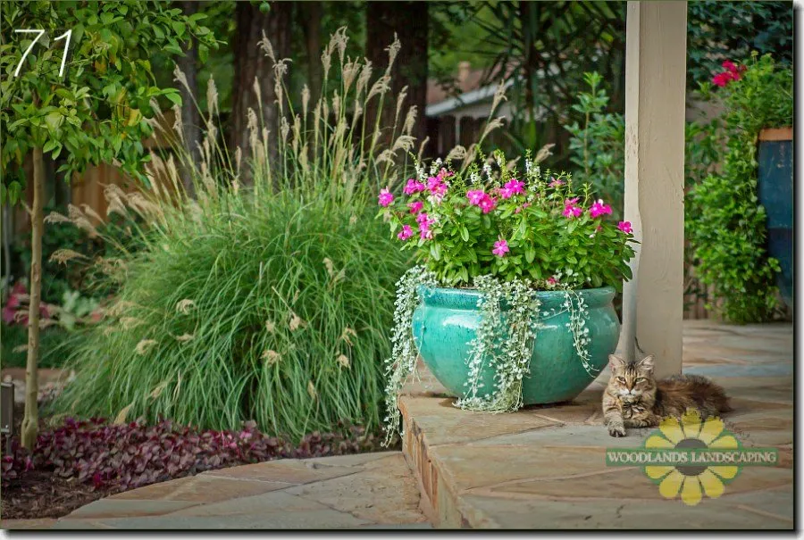 Top-rated landscaping services for homes across Montgomery, TX - Woodlands Landscaping