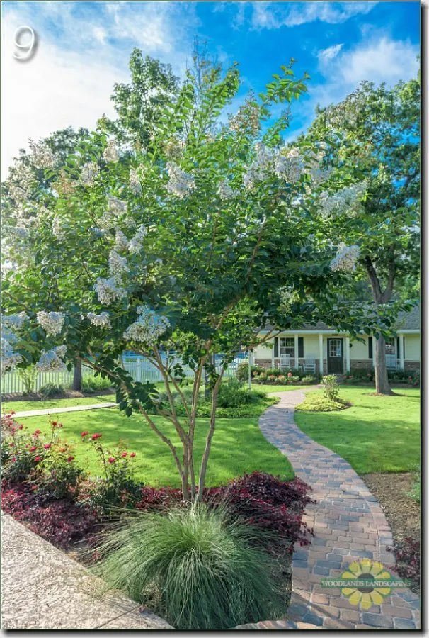 Trusted outdoor landscaping for homes in Montgomery, TX by Woodlands Landscaping