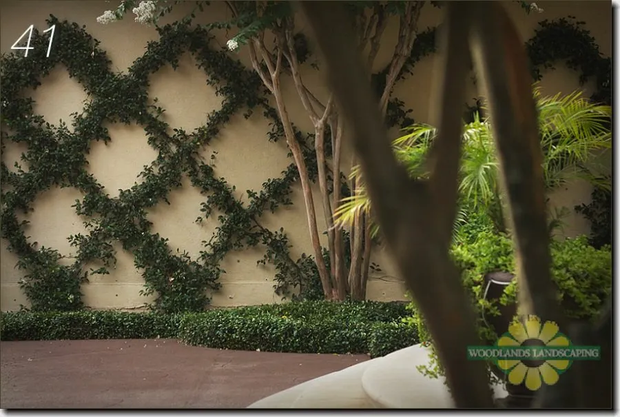 Top-rated landscape installation for homes in Montgomery, TX by Woodlands Landscaping