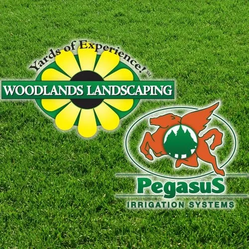 Professional garden landscaping in Montgomery, TX by Woodlands Landscaping