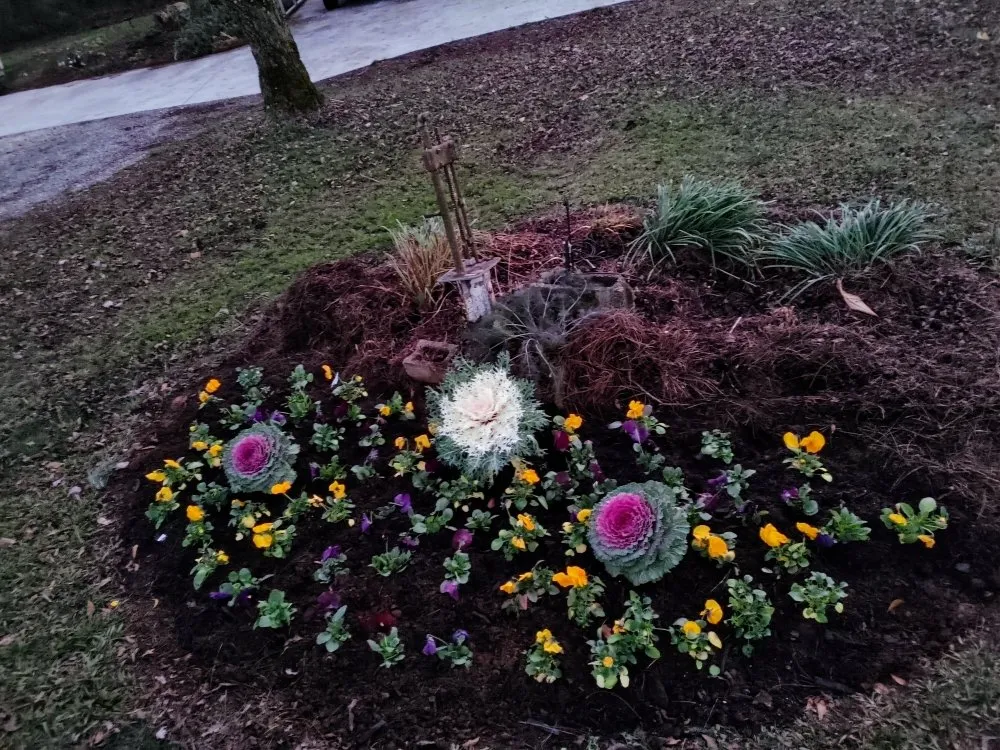 Trusted landscaping services in Bowman, GA - Woodlands Lawn and Garden Services