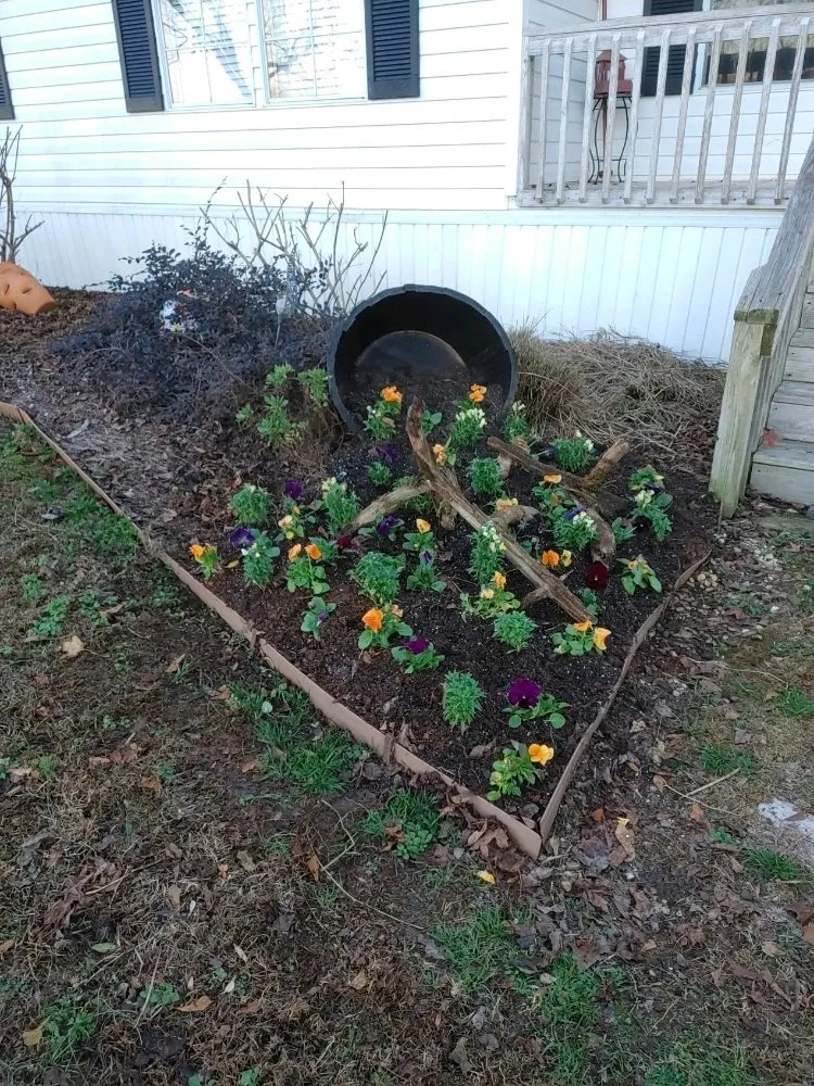 Expert outdoor landscaping experts serving Bowman, GA - Woodlands Lawn and Garden Services