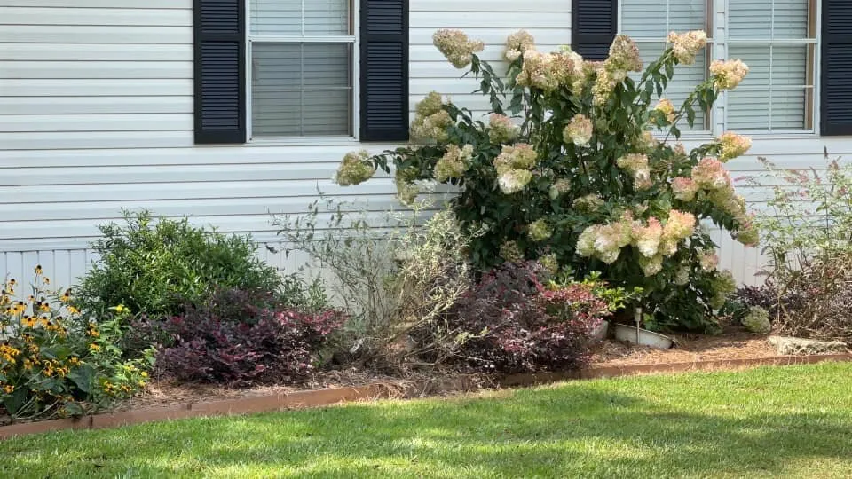 Top-rated landscape design in Bowman, GA by Woodlands Lawn and Garden Services