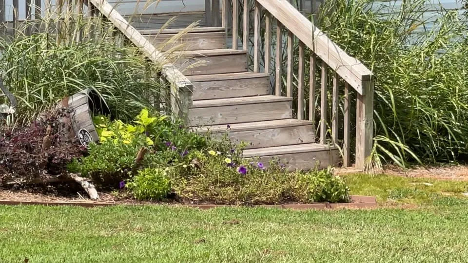 Professional landscape design in Bowman, GA by Woodlands Lawn and Garden Services