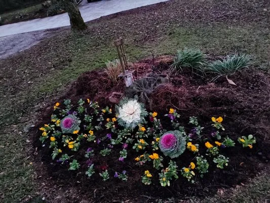 Woodlands Lawn and Garden Services