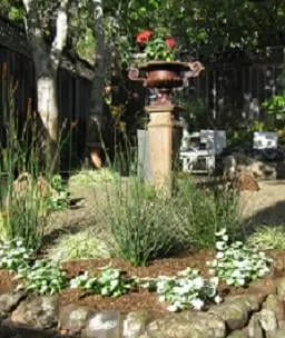 Trusted residential landscaping for homes across South San Francisco, CA - Woodlandscaping