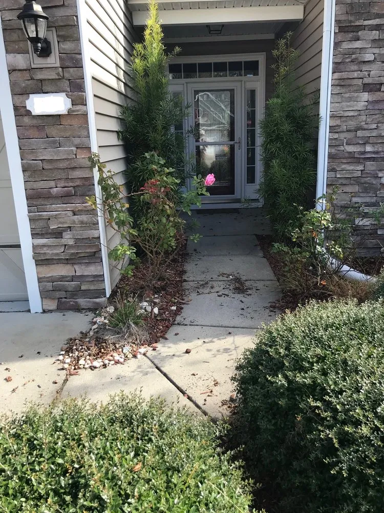 Local yard cleanup service experts serving Myrtle Beach, SC - Woodlark Lawn & Maintenance