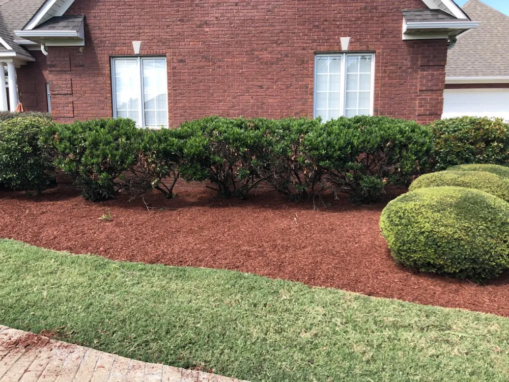 Top-rated lawn mowing service in Brownsville, TN by Woodlawn Lawn Care of Brownsville